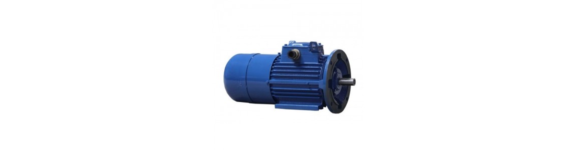 Electric motors with brake