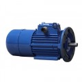 Electric motors with brake